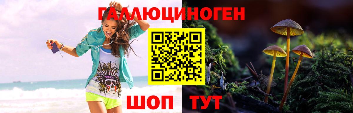 Галлюциногенные грибы GOLDEN TEACHER Мелеуз